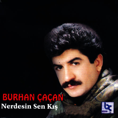 Sen Neredesin